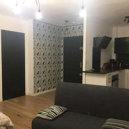 Tres Agreable Avec Balcon Et Wi-fi Apartment