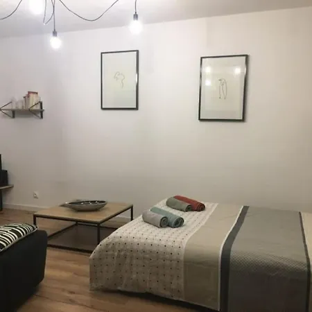 Tres Agreable Avec Balcon Et Wi-fi 아파트